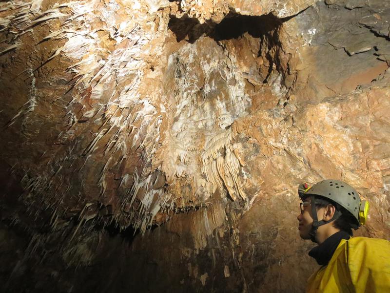 Thumbnail of photo from this article